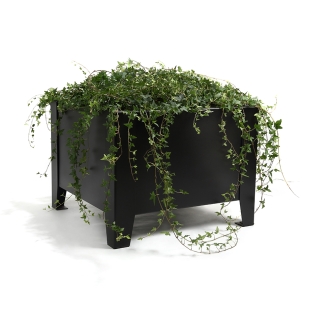 ΖΑΡΝΤΙΝΙΕΡΕΣ