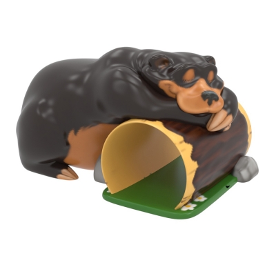 Black Bear