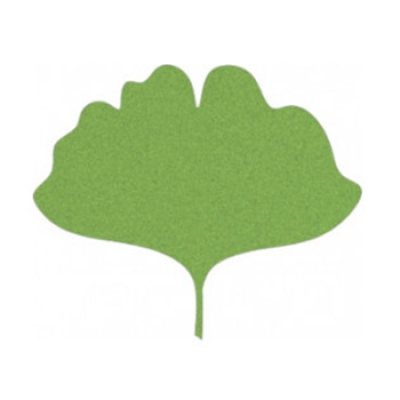Ginkgo Leaf