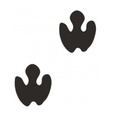 Rhino