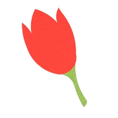 Tulip