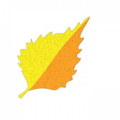 Birch Leaf