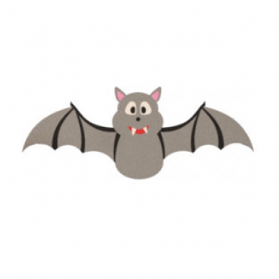 Grey Bat
